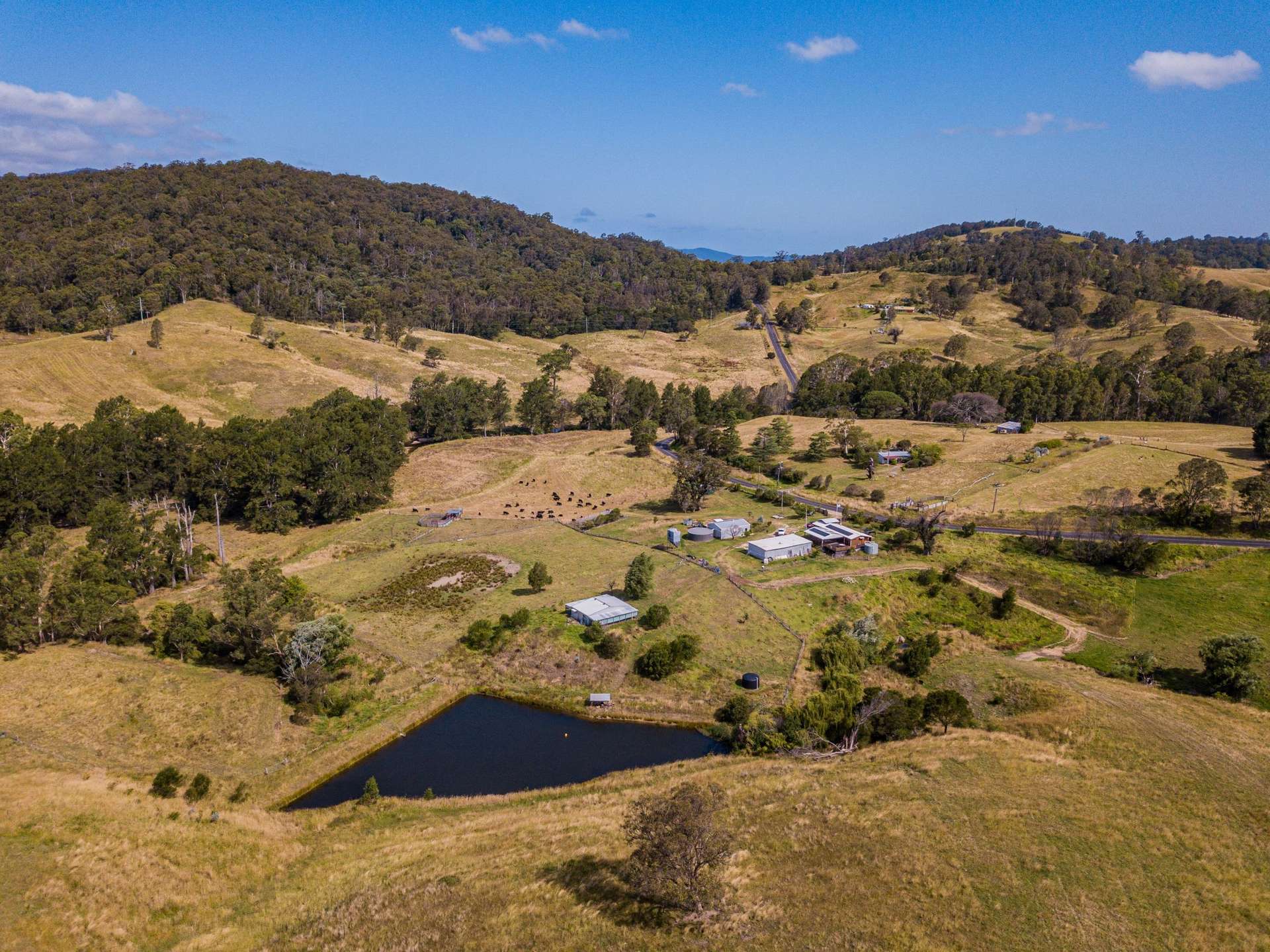 222 Warrigal Range Road, Brogo For Sale by Farmbuy.com - image 6