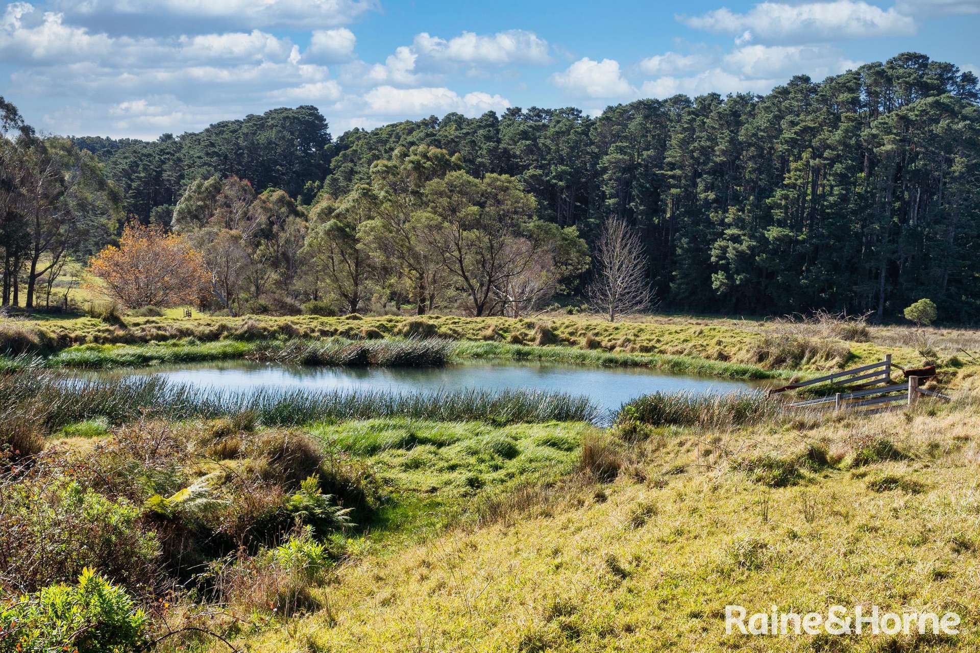 4116 Illawarra Highway, Robertson Sold by Farmbuy.com - image 9