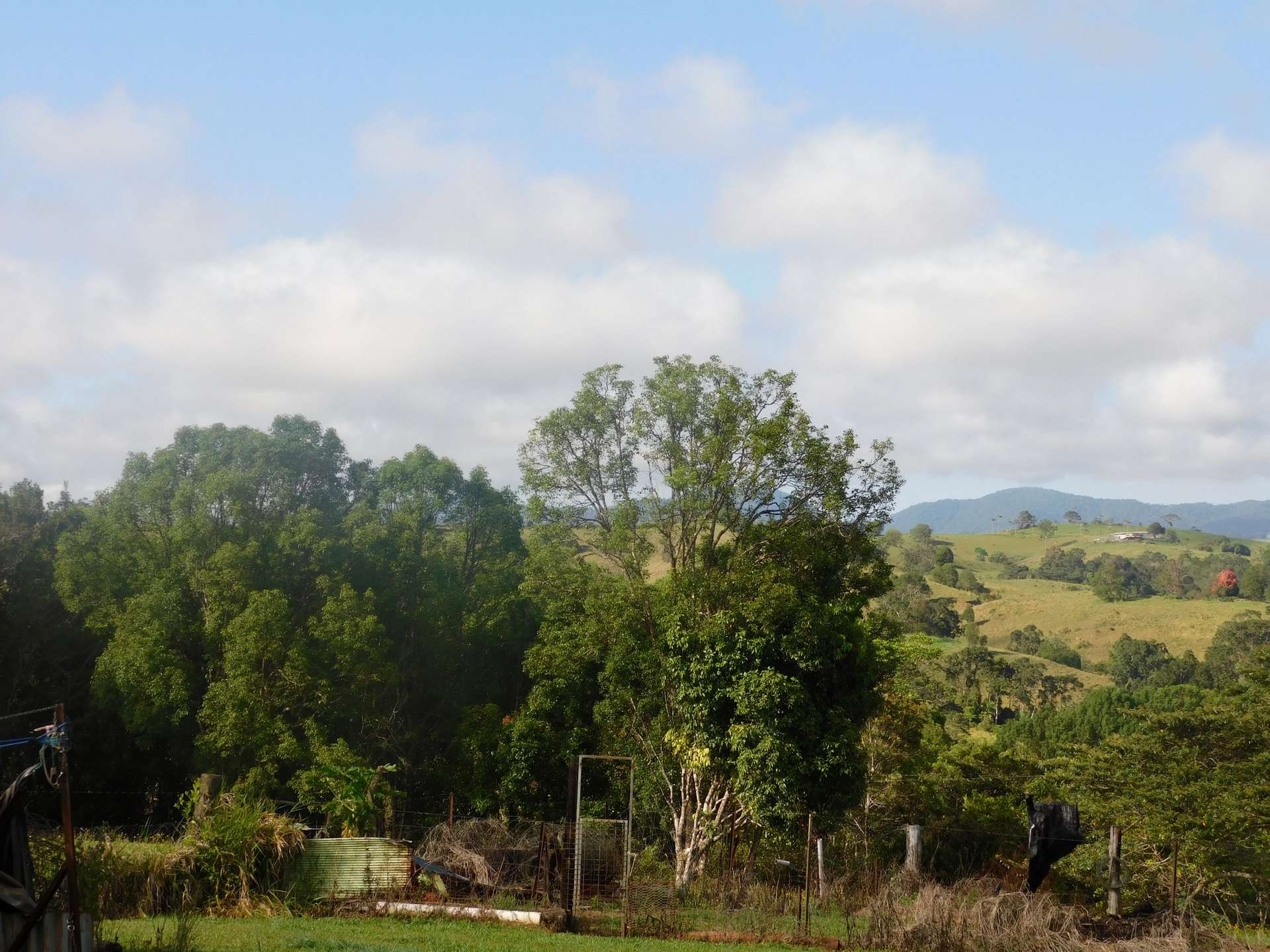 27 First Avenue, Tarzali For Sale by Farmbuy.com - image 11