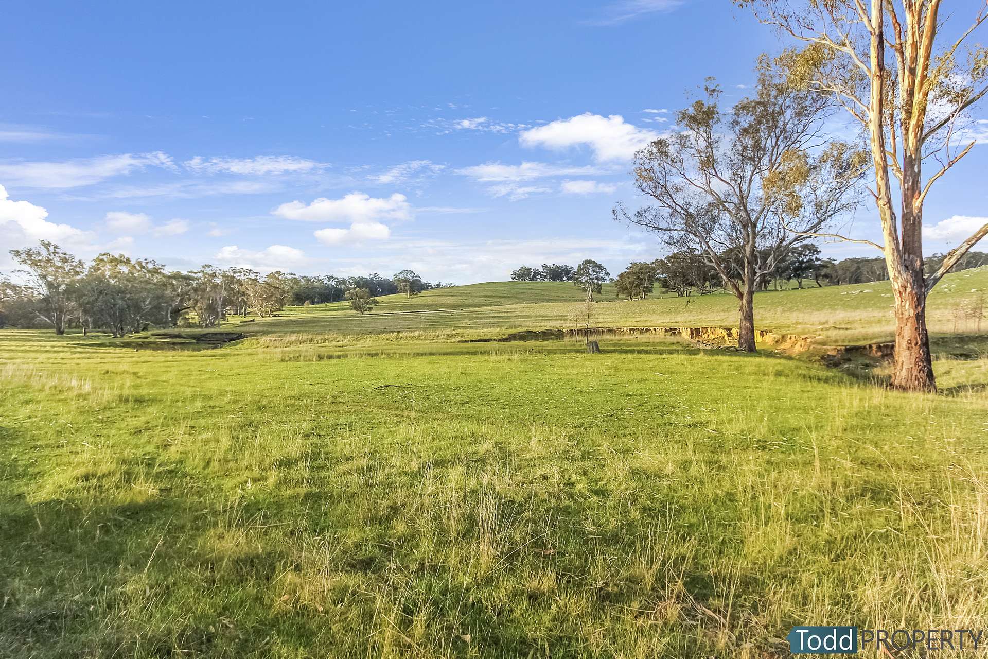 Watkins Lane, Heathcote Sold by Farmbuy.com - image 15
