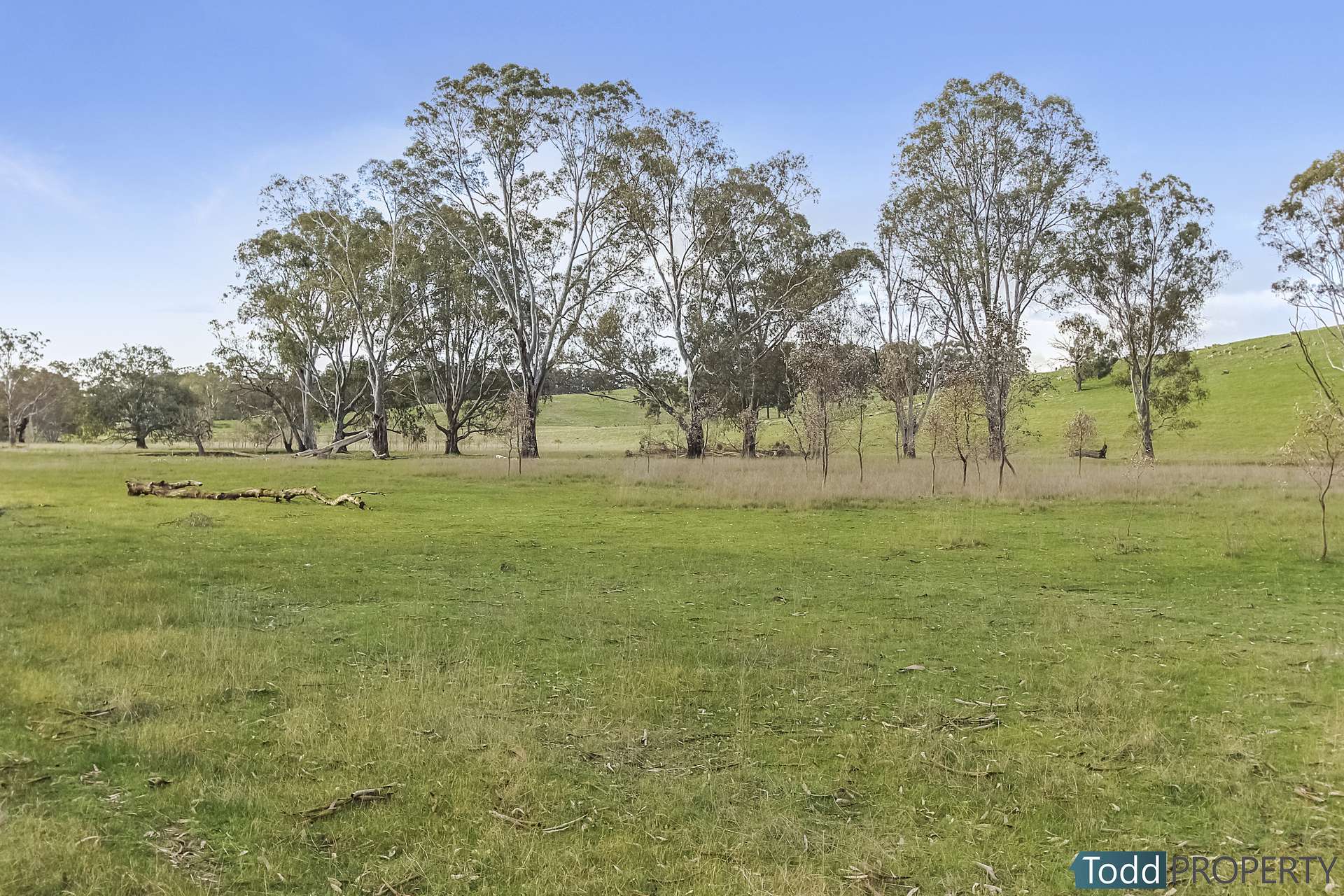 Watkins Lane, Heathcote Sold by Farmbuy.com - image 14
