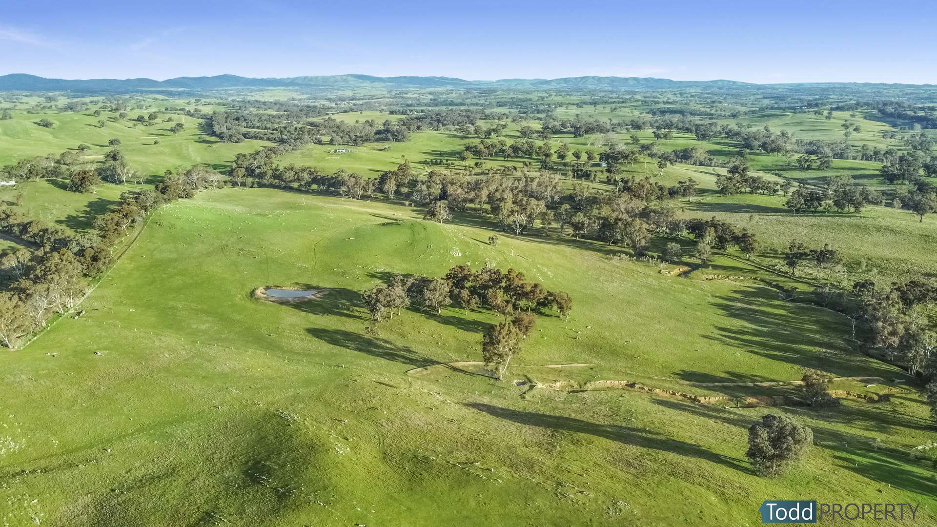 Watkins Lane, Heathcote Sold by Farmbuy.com - image 6