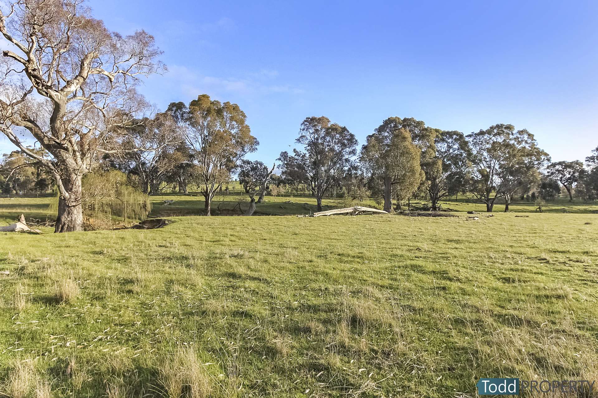 Watkins Lane, Heathcote Sold by Farmbuy.com - image 12