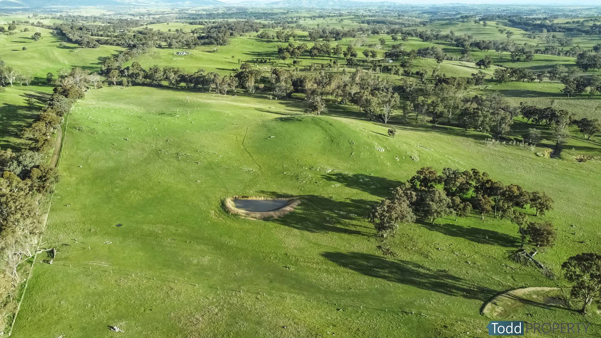 Watkins Lane, Heathcote Sold by Farmbuy.com - image 7