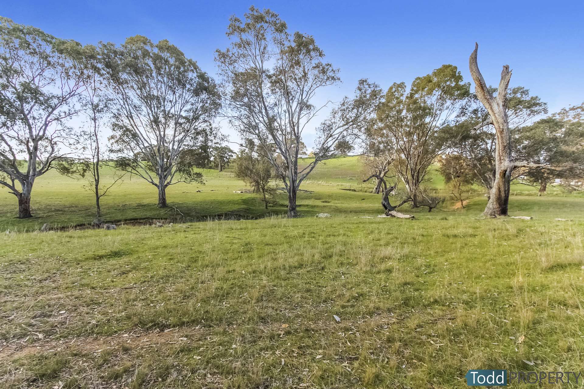 Watkins Lane, Heathcote Sold by Farmbuy.com - image 8