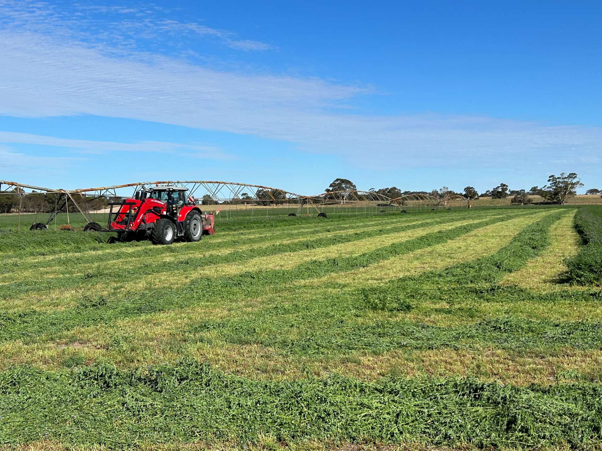 9653 Dukes Highway, Tintinara For Sale by Farmbuy.com - image 22