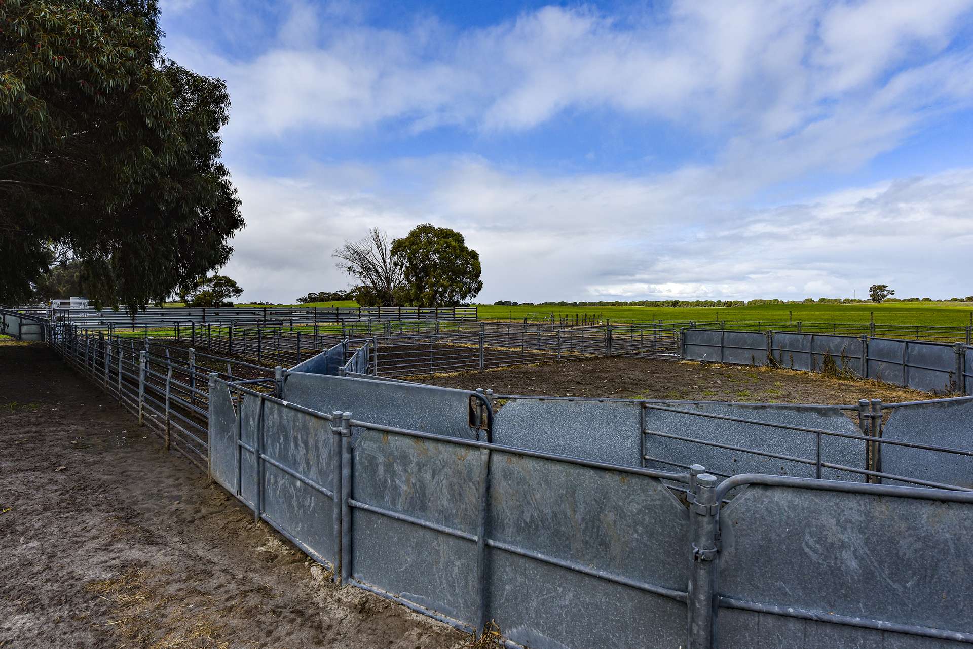 9653 Dukes Highway, Tintinara For Sale by Farmbuy.com - image 14