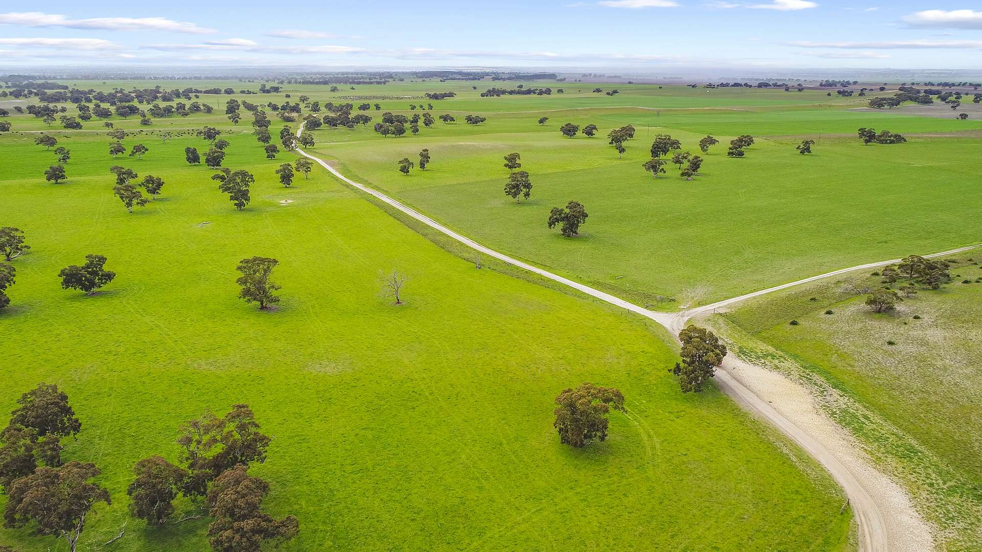 9653 Dukes Highway, Tintinara For Sale by Farmbuy.com - image 10