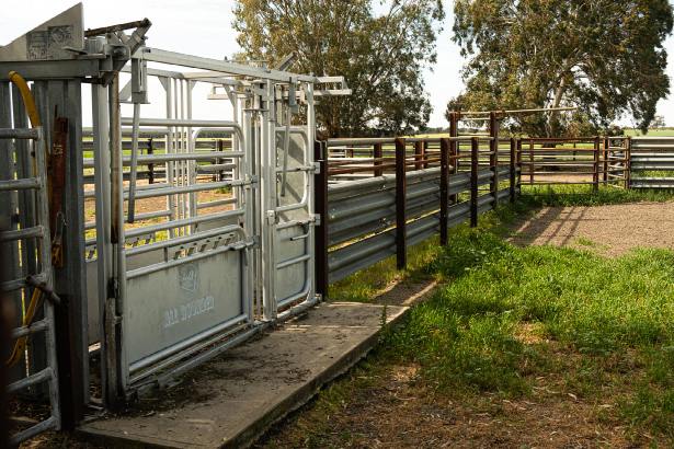 9653 Dukes Highway, Tintinara For Sale by Farmbuy.com - image 13
