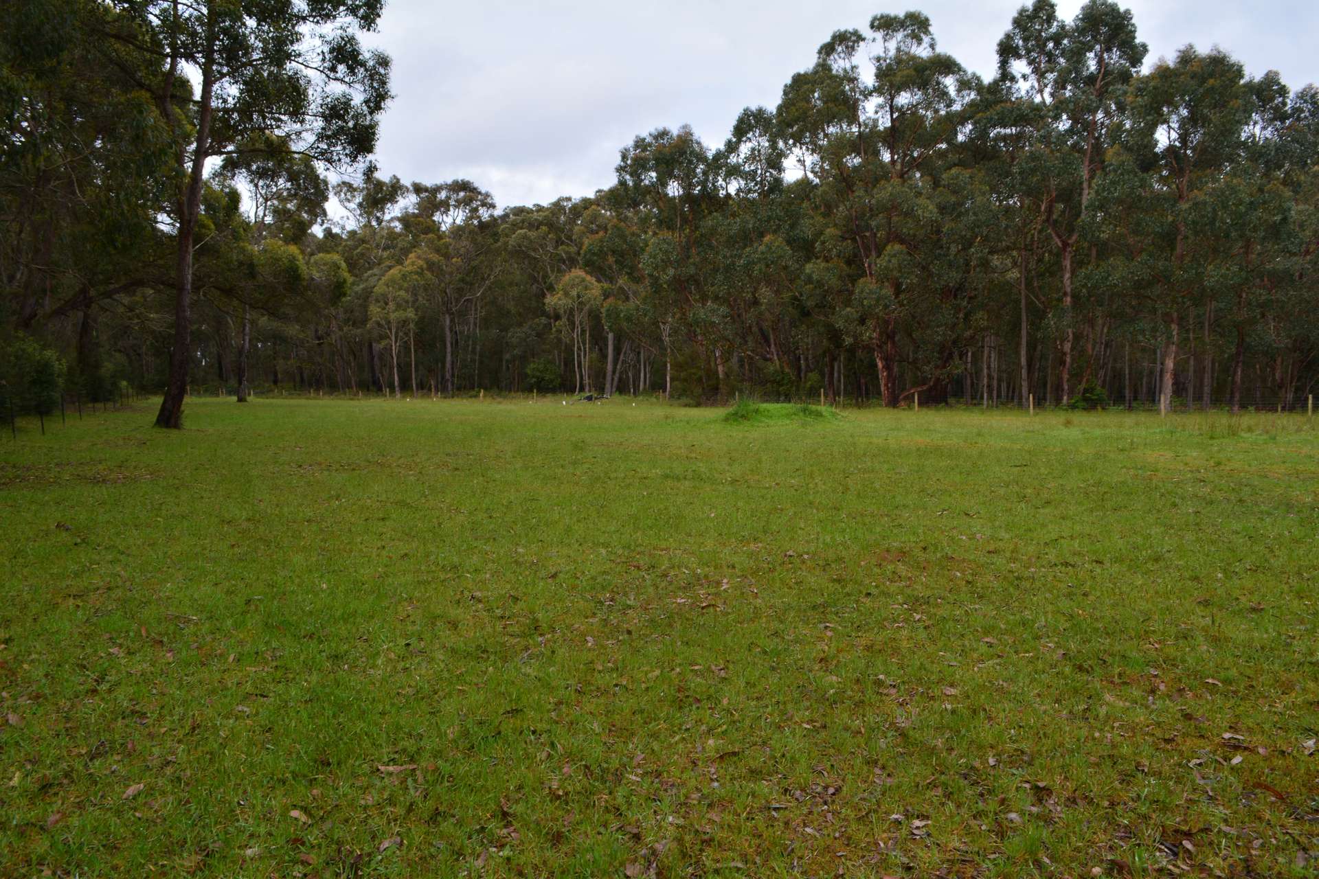 195 Robinson Road, Barongarook Sold by Farmbuy.com - image 7