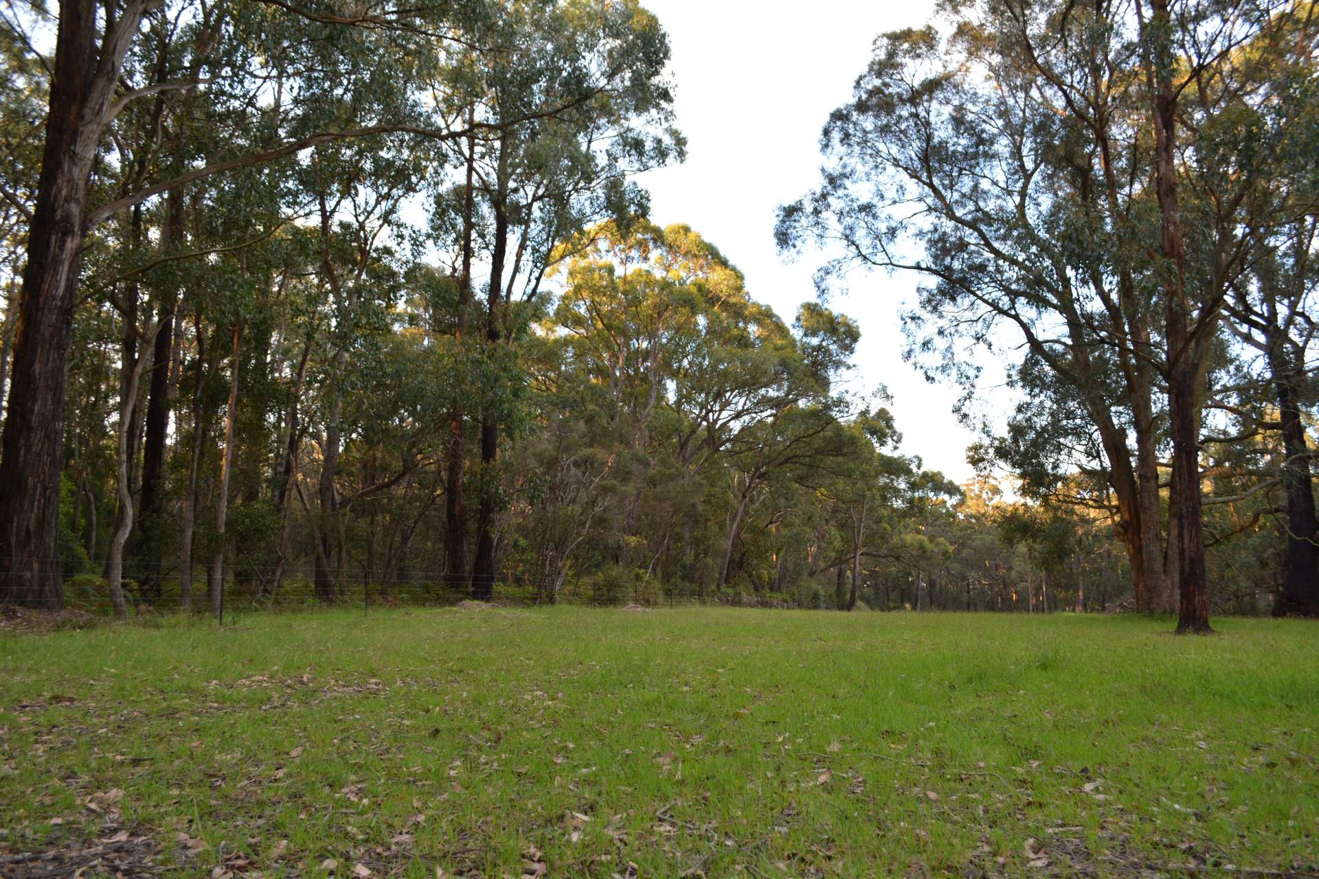 195 Robinson Road, Barongarook Sold by Farmbuy.com - image 11