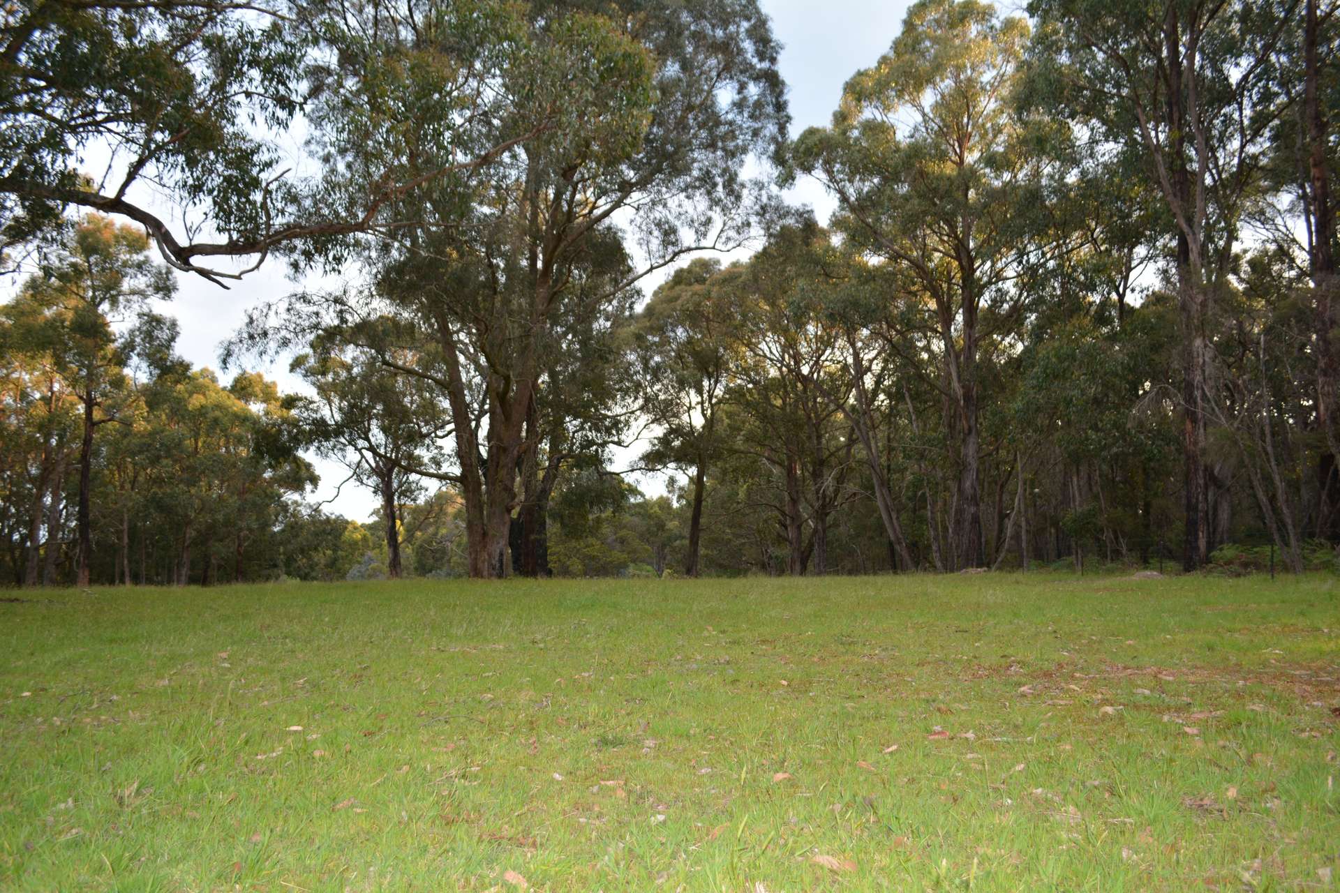 195 Robinson Road, Barongarook Sold by Farmbuy.com - image 5