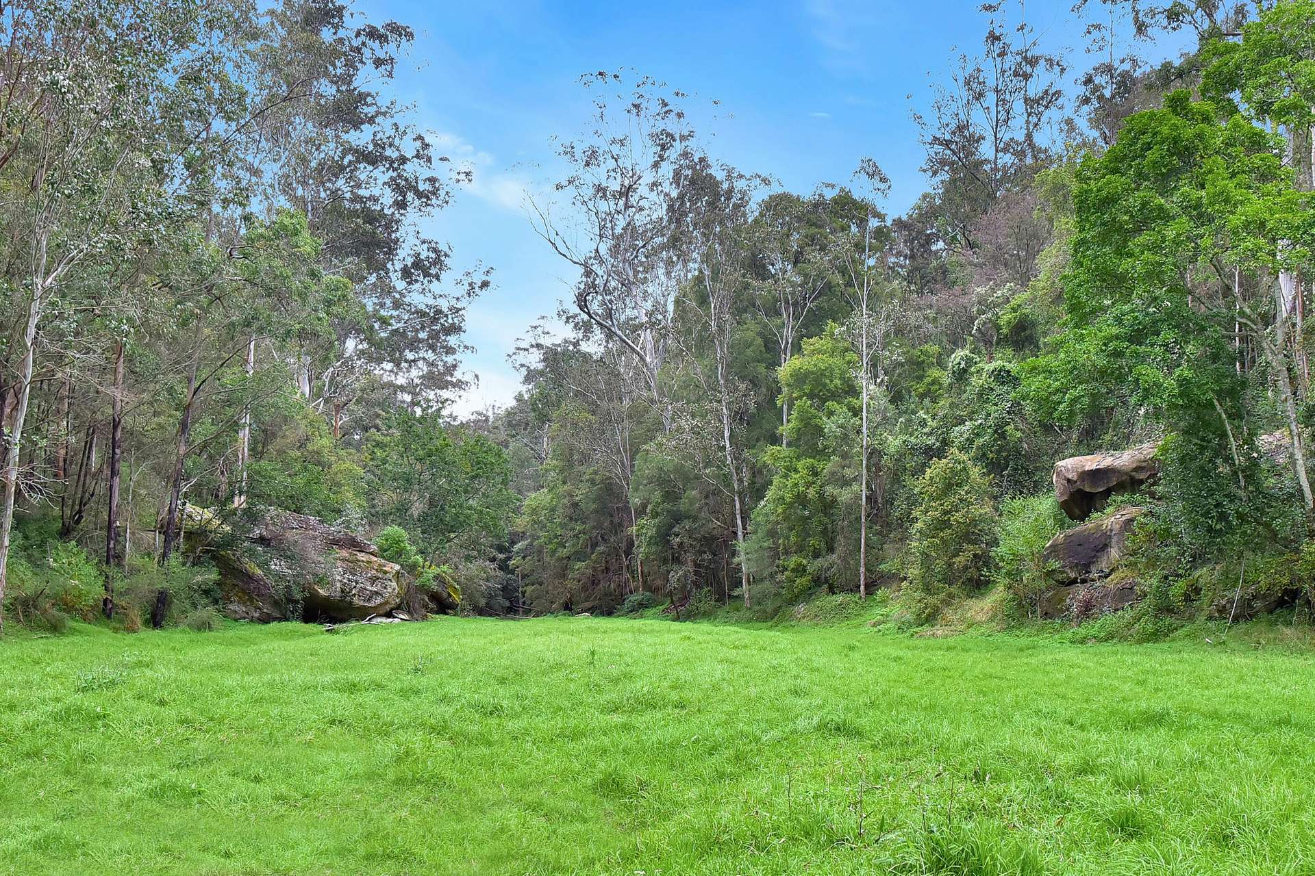 2299 Wollombi Road, Sweetmans Creek For Sale by Farmbuy.com - image 23