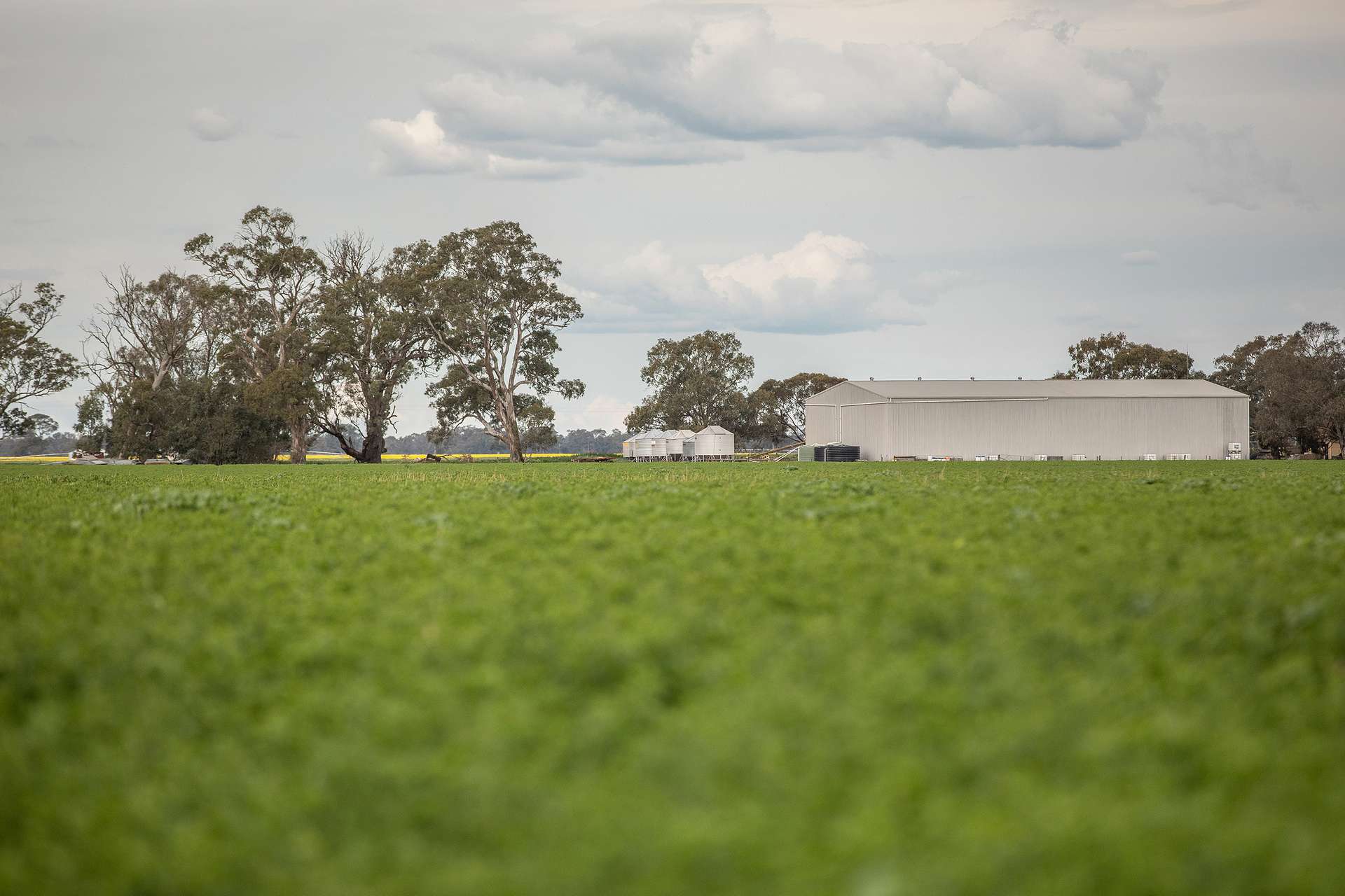 71 Joys Road, Cadgee, Naracoorte For Sale by Farmbuy.com - image 17