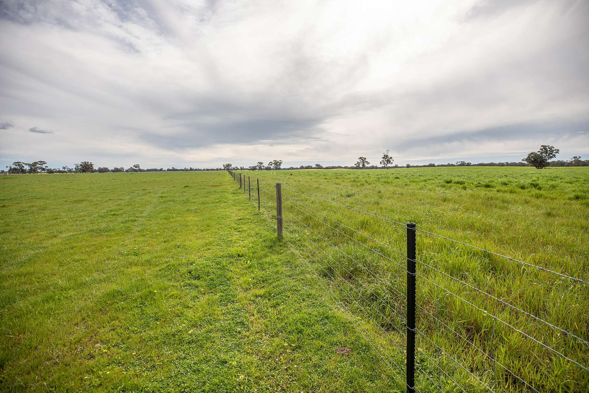 71 Joys Road, Cadgee, Naracoorte For Sale by Farmbuy.com - image 12