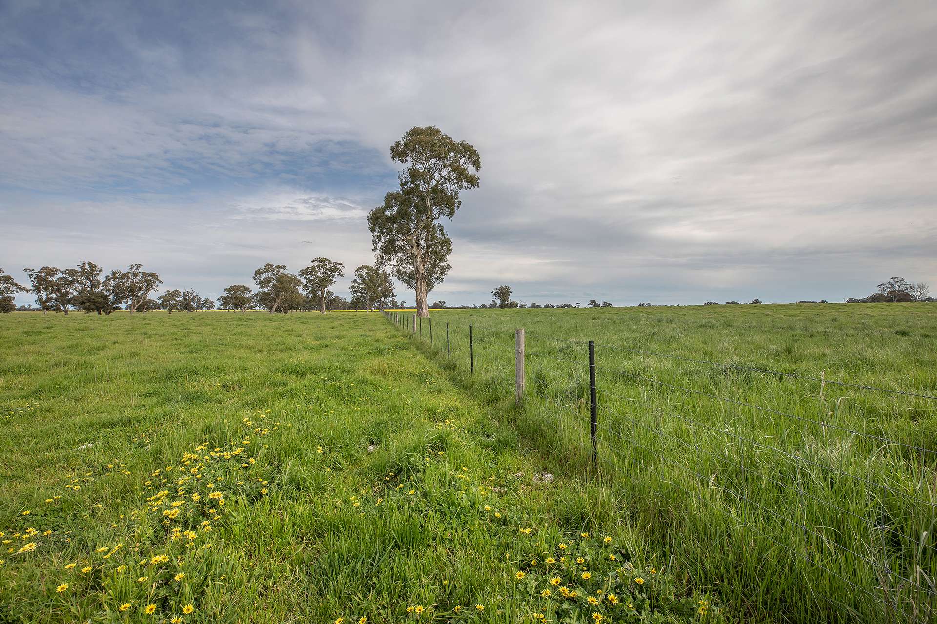 71 Joys Road, Cadgee, Naracoorte For Sale by Farmbuy.com - image 11