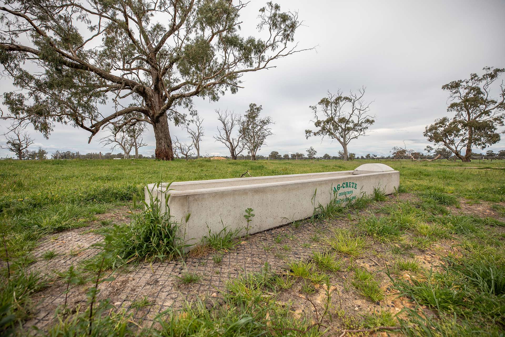 71 Joys Road, Cadgee, Naracoorte For Sale by Farmbuy.com - image 13