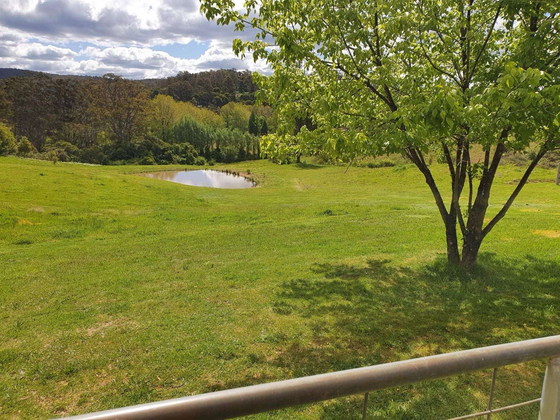 7630 Armidale Rd, Billys Creek For Sale by Farmbuy.com - image 15