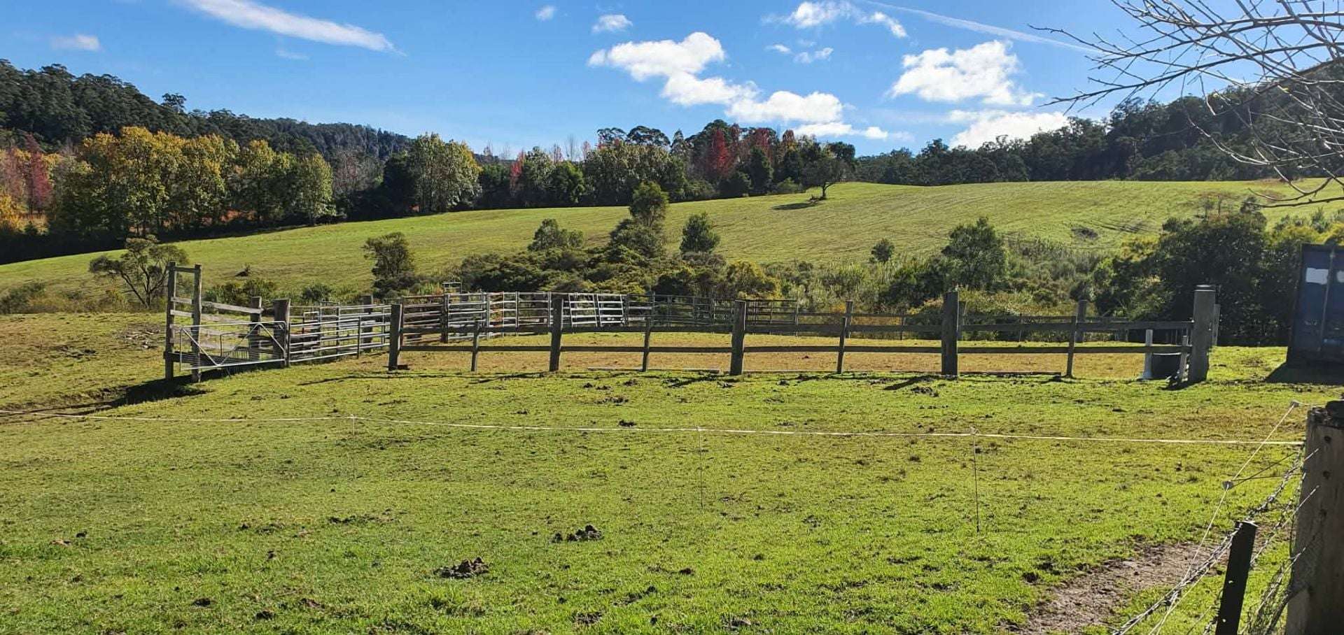 7630 Armidale Rd, Billys Creek For Sale by Farmbuy.com - image 17
