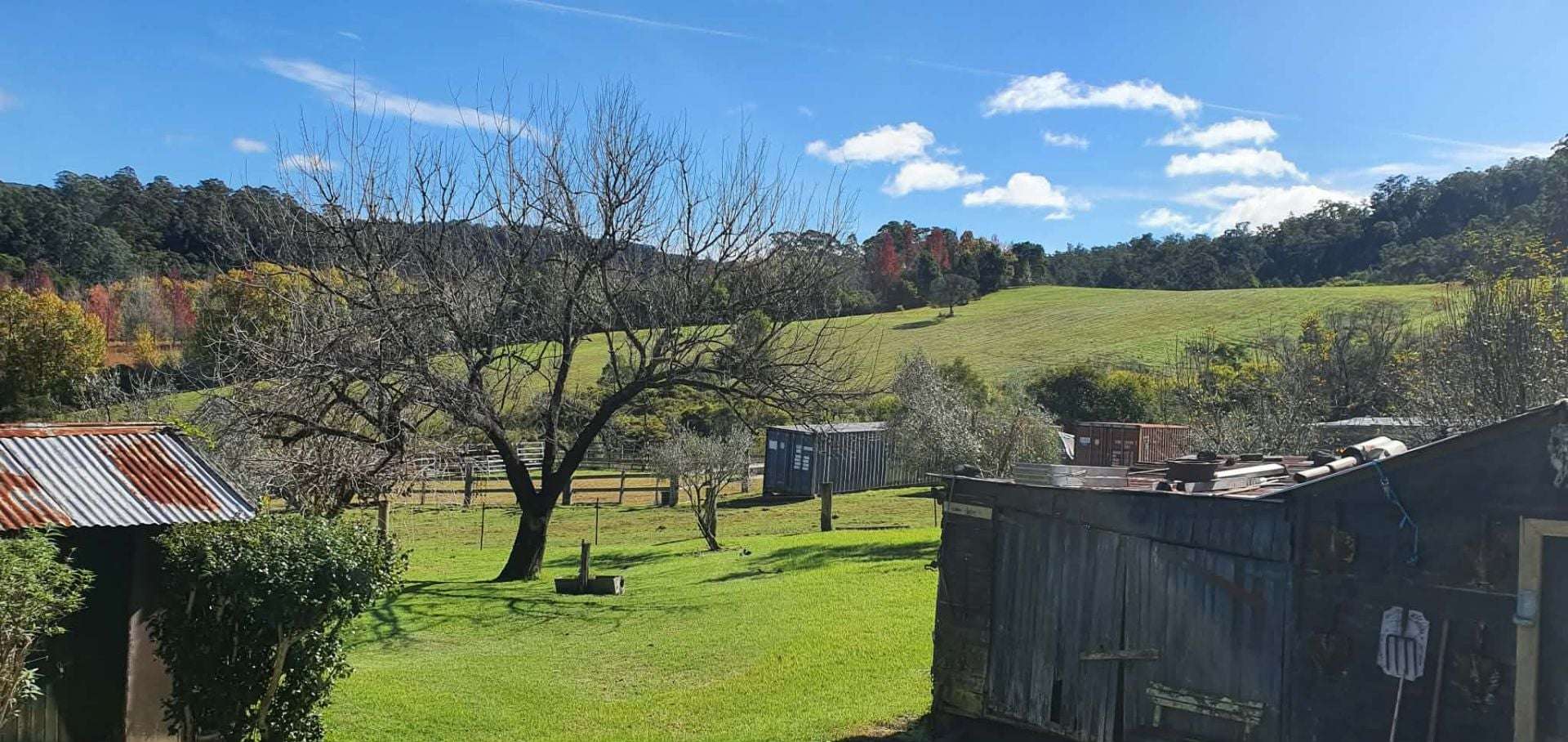 7630 Armidale Rd, Billys Creek For Sale by Farmbuy.com - image 18