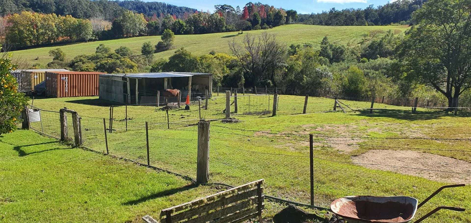 7630 Armidale Rd, Billys Creek For Sale by Farmbuy.com - image 19