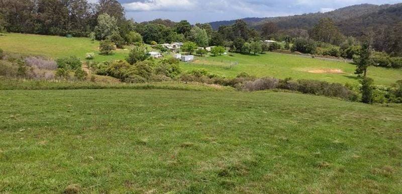 7630 Armidale Rd, Billys Creek For Sale by Farmbuy.com - image 3