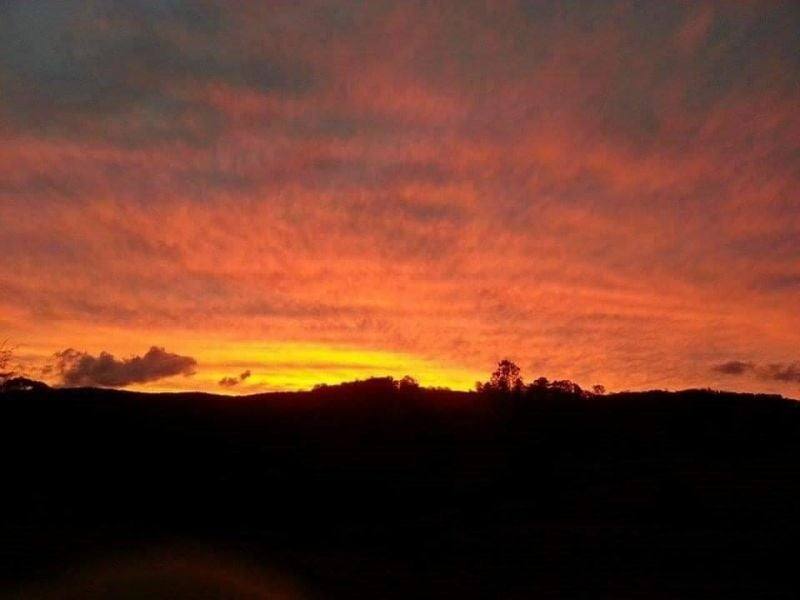 7630 Armidale Rd, Billys Creek For Sale by Farmbuy.com - image 2