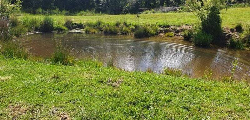 7630 Armidale Rd, Billys Creek For Sale by Farmbuy.com - image 16