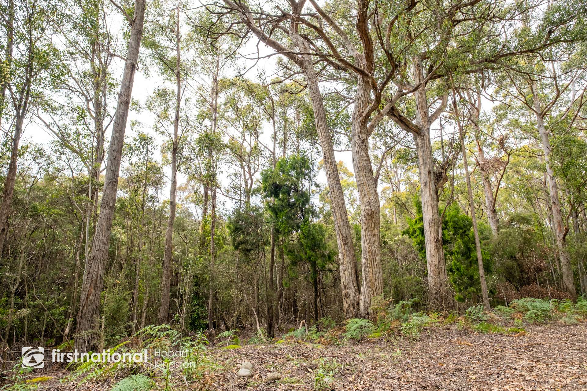 Lockleys Road, Adventure Bay For Sale by Farmbuy.com - image 16