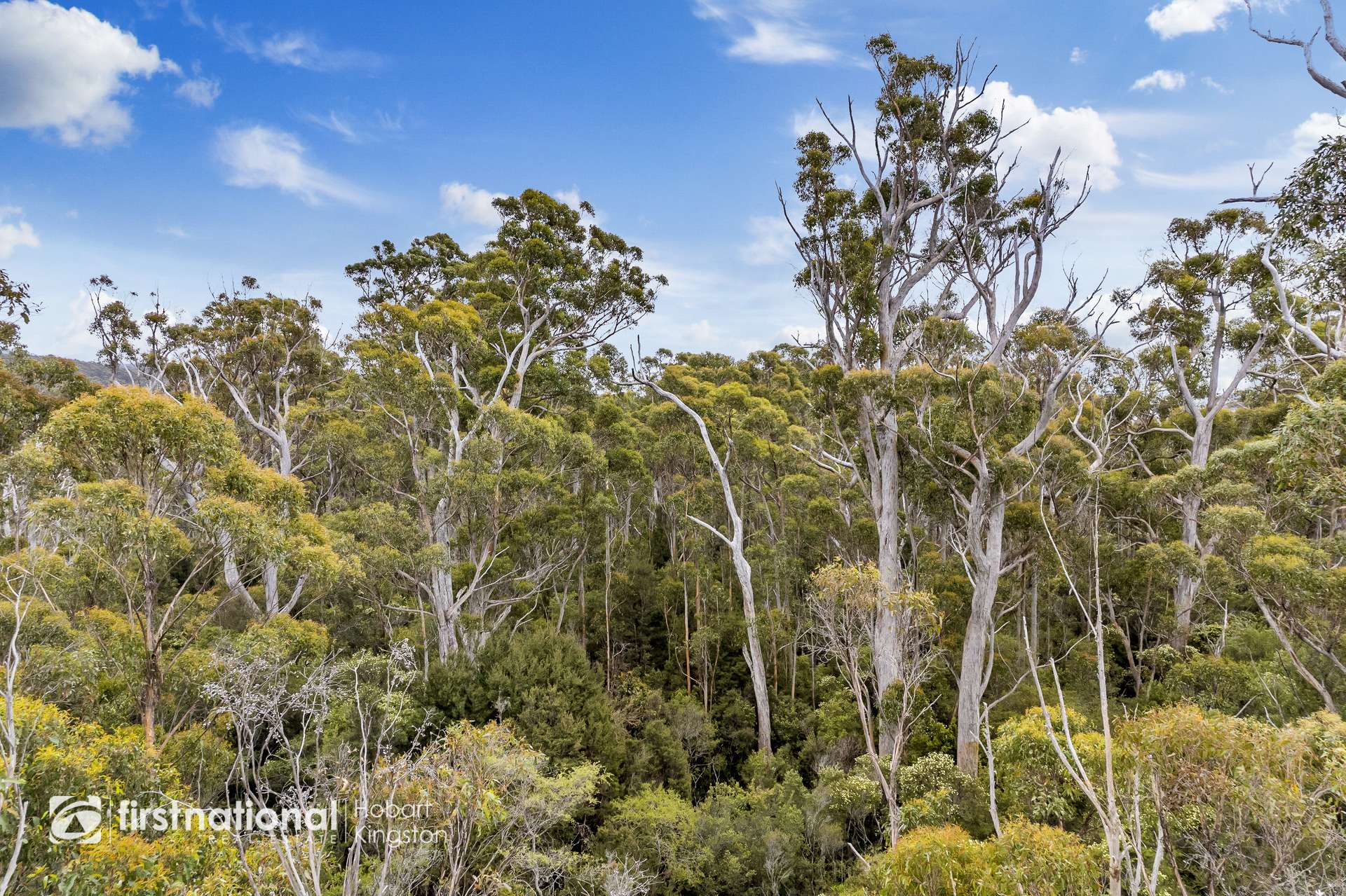 Lockleys Road, Adventure Bay For Sale by Farmbuy.com - image 20