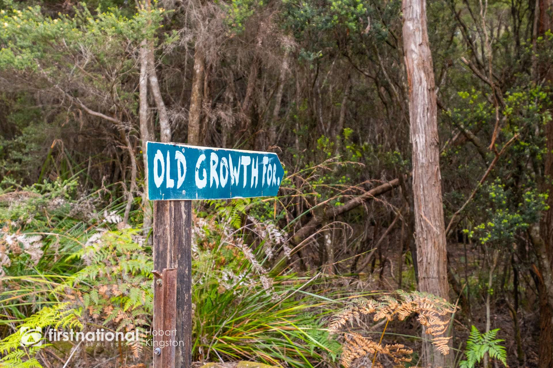 Lockleys Road, Adventure Bay For Sale by Farmbuy.com - image 7