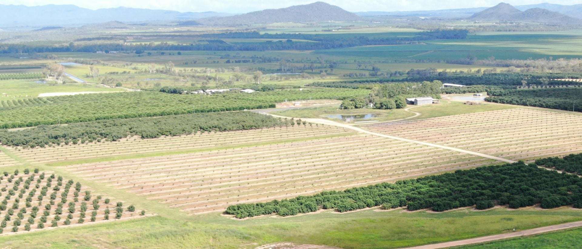 Arriga For Sale by Farmbuy.com - image 14