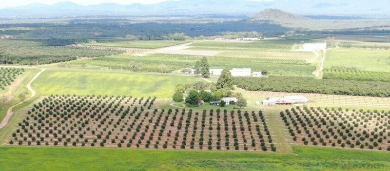 1611 Mareeba Dimbulah Road, Arriga For Sale by Farmbuy.com - image 11