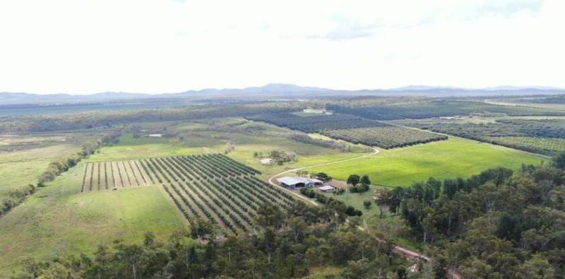 1611 Mareeba Dimbulah Road, Arriga For Sale by Farmbuy.com - image 14