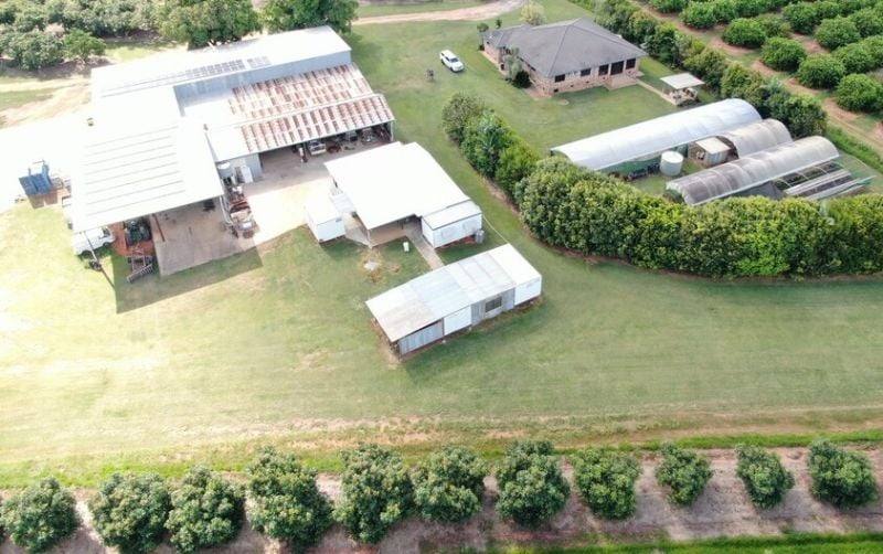 1611 Mareeba Dimbulah Road, Arriga For Sale by Farmbuy.com - image 3