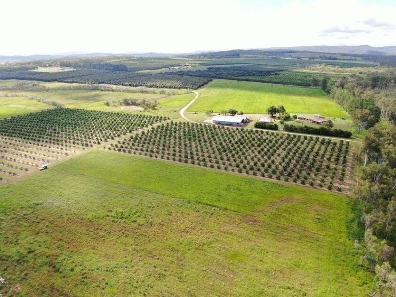 1611 Mareeba Dimbulah Road, Arriga For Sale by Farmbuy.com - image 7
