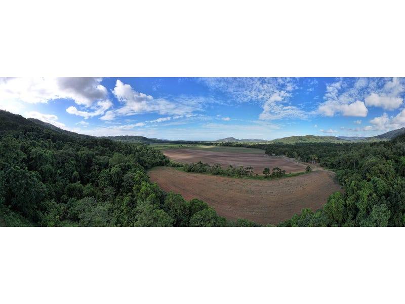 376 Finlayvale Road, Mossman For Sale by Farmbuy.com - image 11