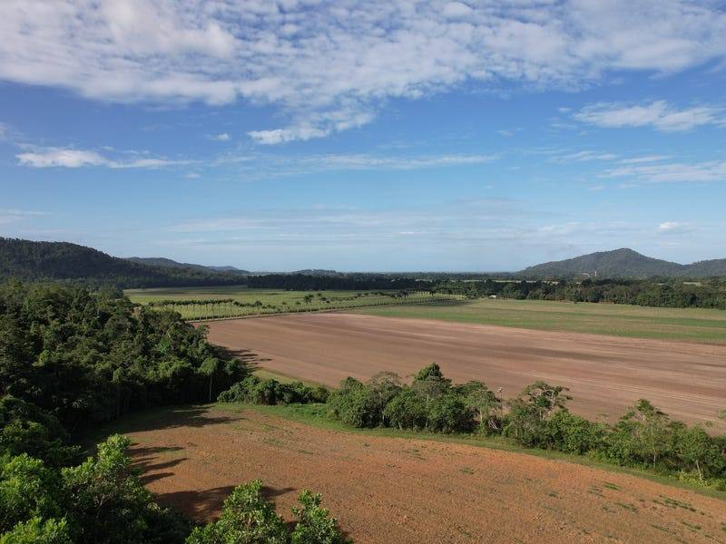 376 Finlayvale Road, Mossman For Sale by Farmbuy.com - image 16