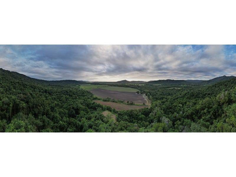 376 Finlayvale Road, Mossman For Sale by Farmbuy.com - image 9