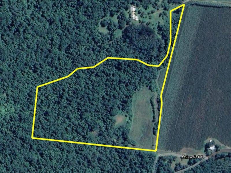 376 Finlayvale Road, Mossman For Sale by Farmbuy.com - image 2