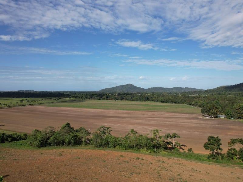 376 Finlayvale Road, Mossman For Sale by Farmbuy.com - image 15