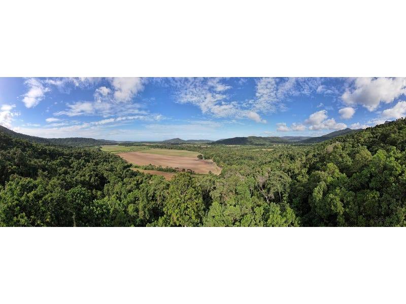 376 Finlayvale Road, Mossman For Sale by Farmbuy.com - image 12