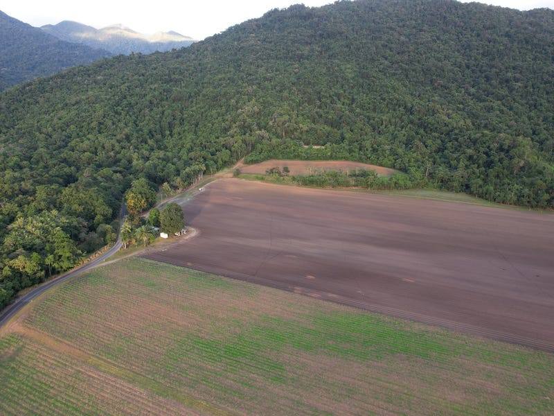 376 Finlayvale Road, Mossman For Sale by Farmbuy.com - image 4