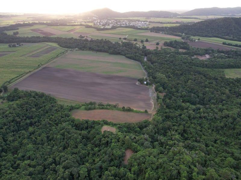 376 Finlayvale Road, Mossman For Sale by Farmbuy.com - image 8