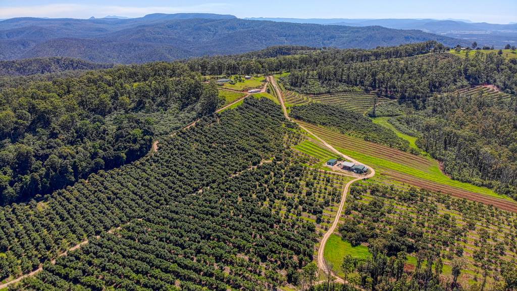 158 Crescent Hills Road, Tabulam NSW 2469