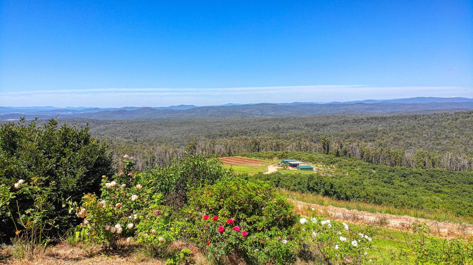 158 Crescent Hills Road, Tabulam For Sale by Farmbuy.com - image 7