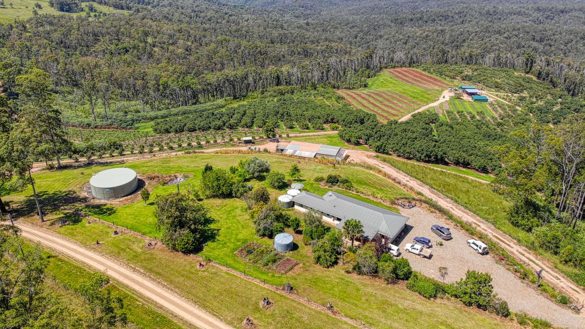 158 Crescent Hills Road, Tabulam For Sale by Farmbuy.com - image 23