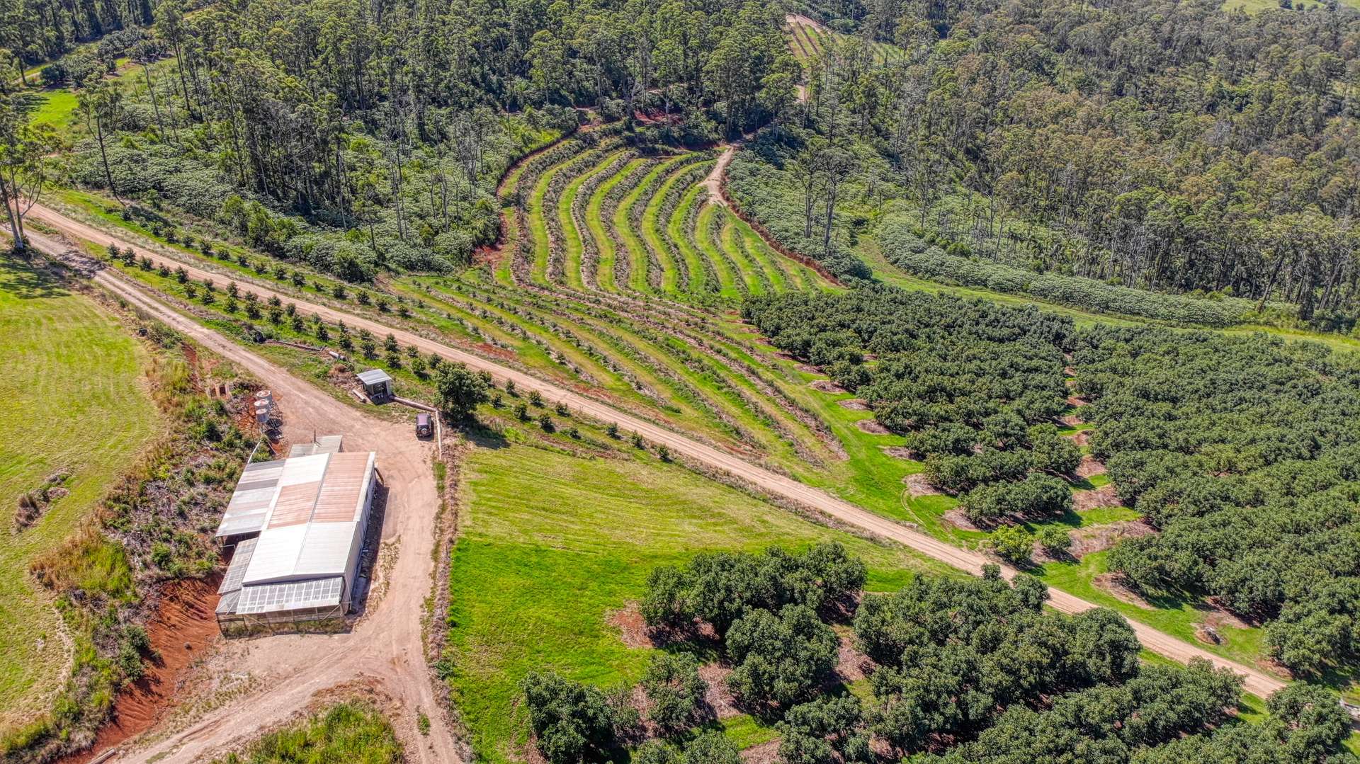 158 Crescent Hills Road, Tabulam For Sale by Farmbuy.com - image 3