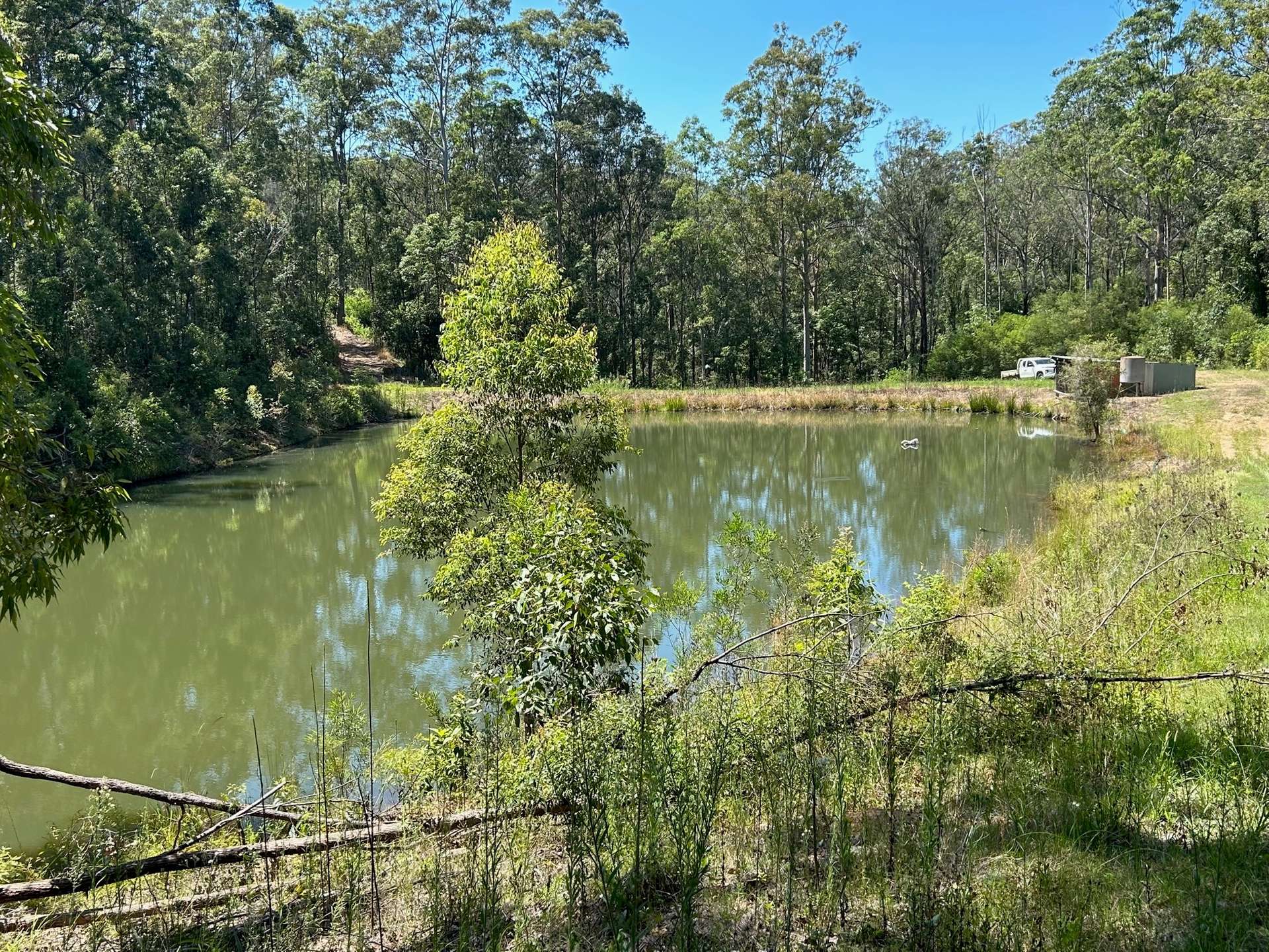 158 Crescent Hills Road, Tabulam For Sale by Farmbuy.com - image 21