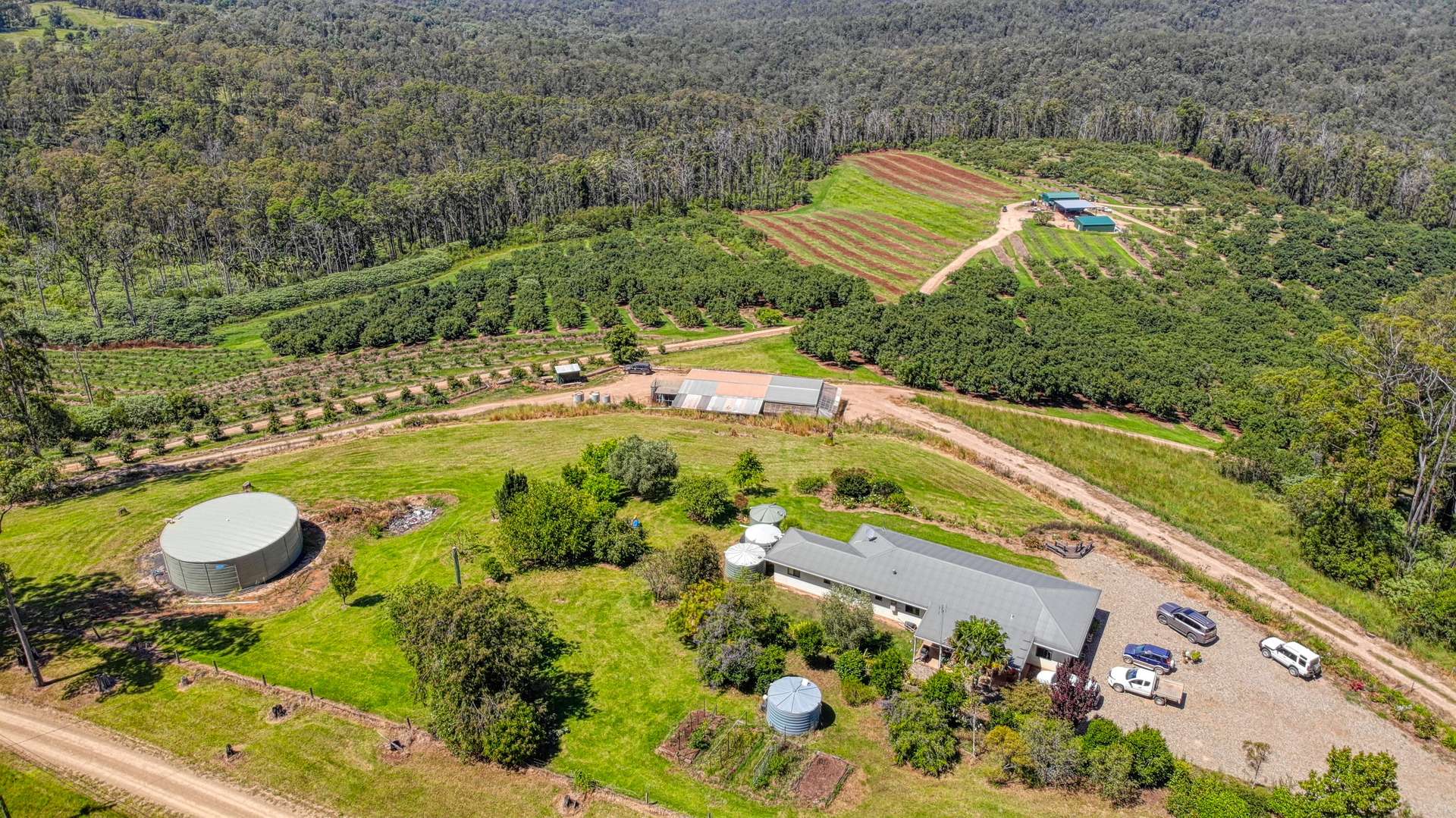 158 Crescent Hills Road, Tabulam For Sale by Farmbuy.com - image 22